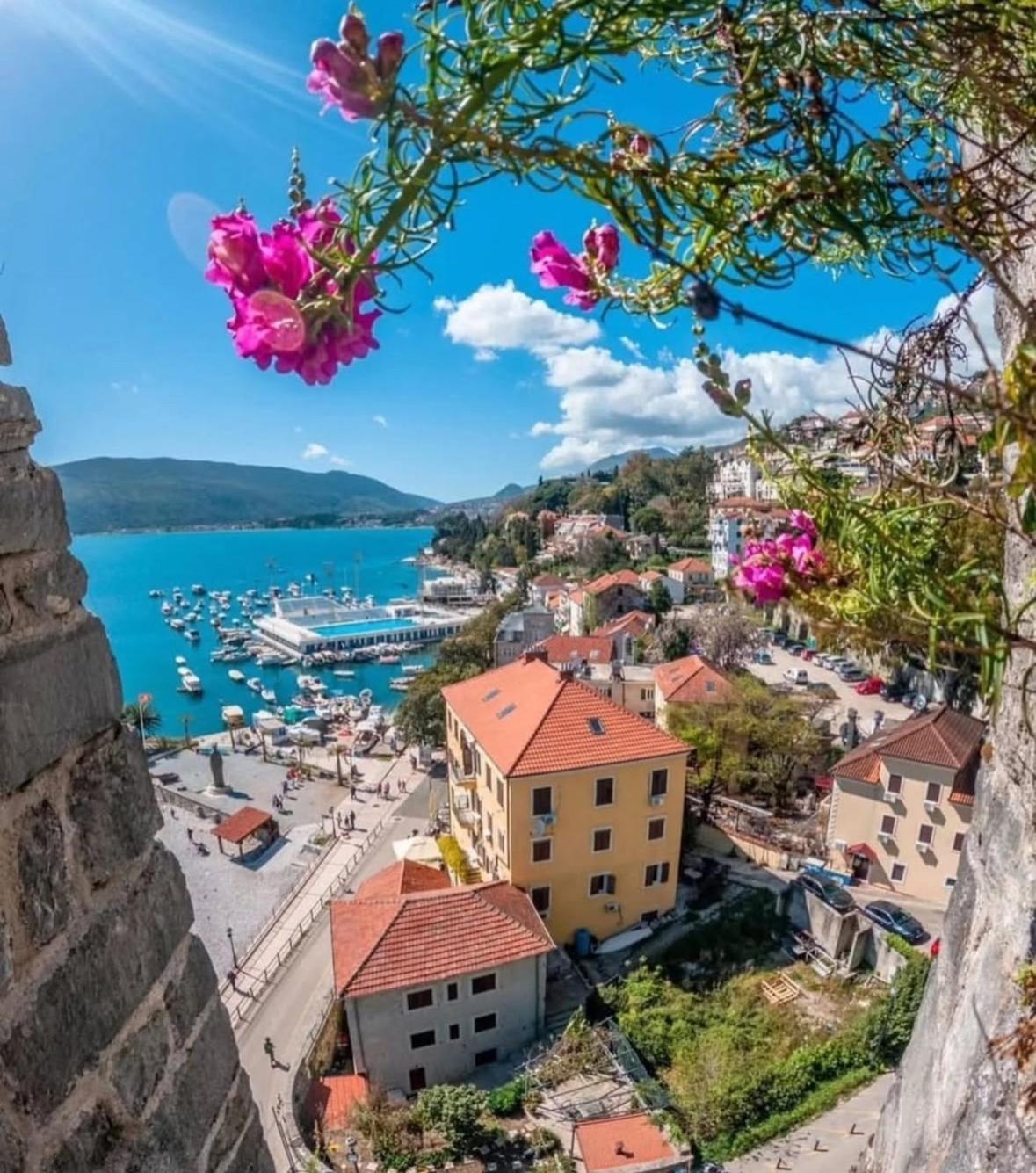 City Port Apartment Herceg Novi Exteriör bild